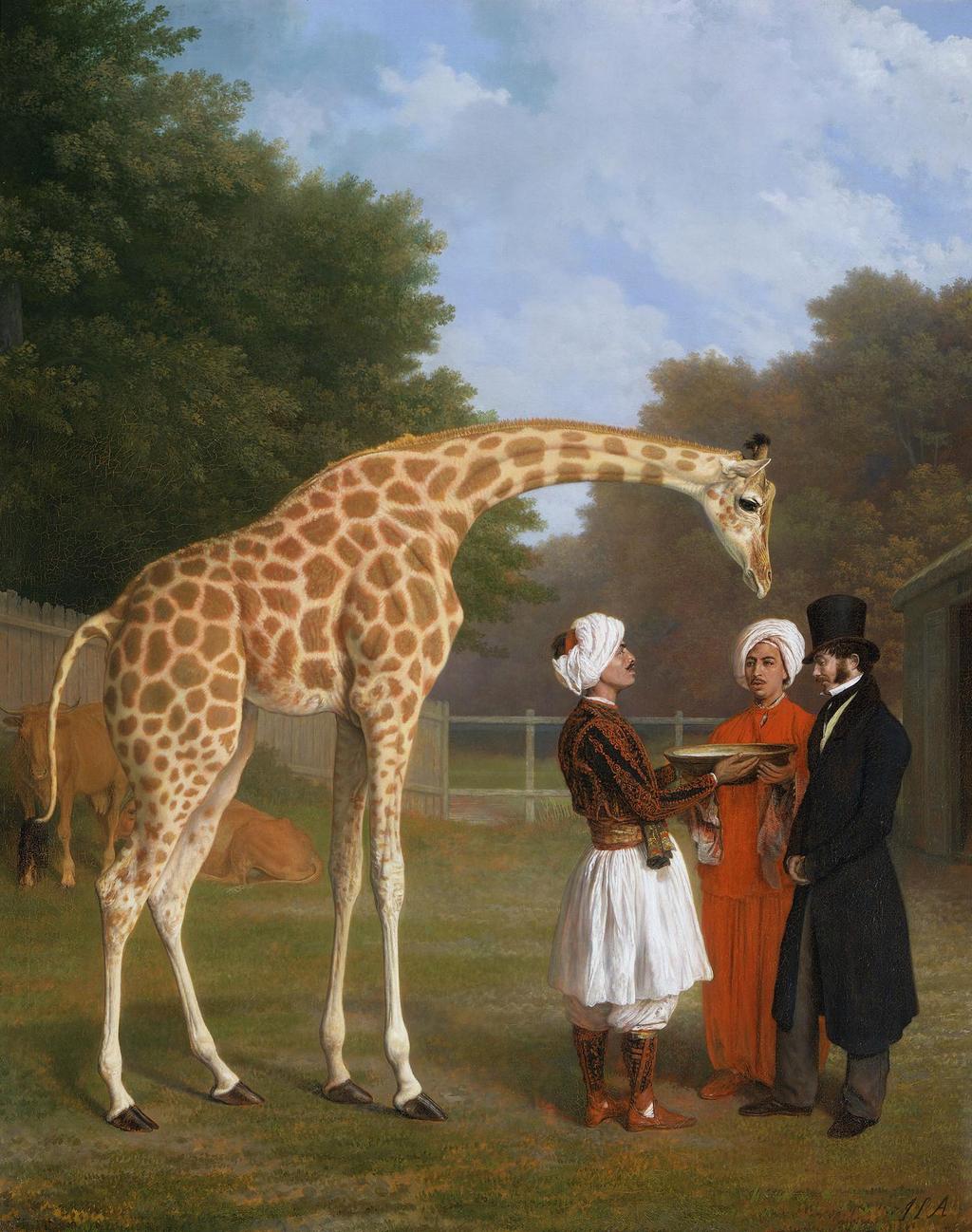 Girafe Taureau 20 cm Animaux Sauvages Bullyland 63710 Nouveauté 2017 