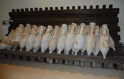 Amphores gallo-romaines de Lattara à Lattes. Source : http://data.abuledu.org/URI/58d4bf36-amphores-gallo-romaines-de-lattara-a-lattes