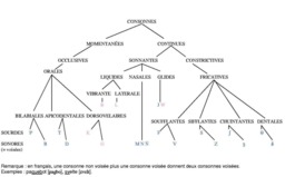 Arborescence des consonnes. Source : http://data.abuledu.org/URI/5210ffab-arborescence-des-consonnes