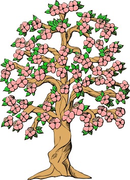 Arbre en fleurs. Source : http://data.abuledu.org/URI/540779ee-arbre-en-fleurs