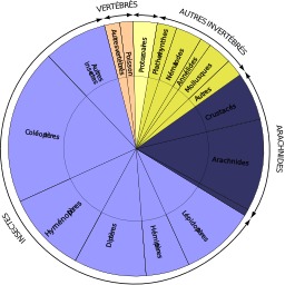 Biodiversité animale. Source : http://data.abuledu.org/URI/51d321c4-biodiversite-animale