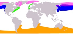 Carte de répartition des baleines. Source : http://data.abuledu.org/URI/520810cf-carte-de-repartition-des-baleines