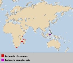 Carte de répartition du coelacanthe. Source : http://data.abuledu.org/URI/56cb188f-carte-de-repartition-du-coelacanthe