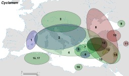 Carte de répartition du cyclamen. Source : http://data.abuledu.org/URI/50f733cc-carte-de-repartition-du-cyclamen