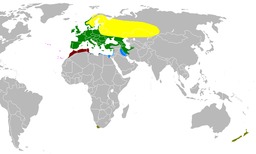 Carte de répartition du pinson. Source : http://data.abuledu.org/URI/51fc0cbe-carte-de-repartition-du-pinson