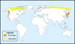 Carte de répartition du plongeon à bec blanc. Source : http://data.abuledu.org/URI/51351f0d-carte-de-repartition-du-plongeon-a-bec-blanc