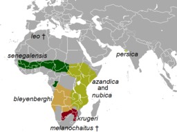 Cartographie de la répartition du lion. Source : http://data.abuledu.org/URI/528b59ae-cartographie-de-la-repartition-du-lion