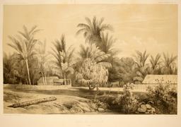 Cases polynésiennes en 1838. Source : http://data.abuledu.org/URI/59809c13-cases-polynesiennes-en-1838