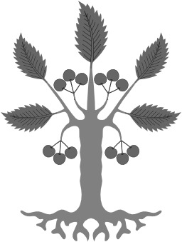 Cerisier en héraldique. Source : http://data.abuledu.org/URI/50bb9002-cerisier-en-heraldique