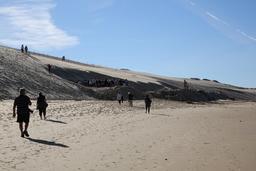 Chantier de fouilles d'octobre 2014 à la Dune du Pilat. Source : http://data.abuledu.org/URI/545182f0-chantier-de-fouilles-d-octobre-2014-a-la-dune-du-pilat