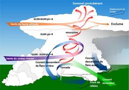 Circulation de l'air pendant une tornade. Source : http://data.abuledu.org/URI/52340ac6-circulation-de-l-air-pendant-une-tornade