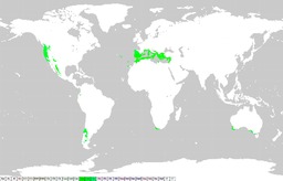 Climat méditerranéen. Source : http://data.abuledu.org/URI/51dfac0e-climat-mediterraneen
