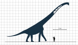 Comparaison de la taille humaine avec celle d'un dinosaure. Source : http://data.abuledu.org/URI/53393840-comparaison-de-la-taille-humaine-avec-celle-d-un-dinosaure