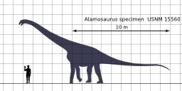 Comparaison de la taille humaine et d'un dinosaure. Source : http://data.abuledu.org/URI/5339408d-comparaison-de-la-taille-humaine-et-d-un-dinosaure