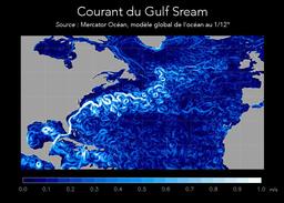 Courant du Gulf Stream. Source : http://data.abuledu.org/URI/58e6a2e5-courant-du-gulf-stream