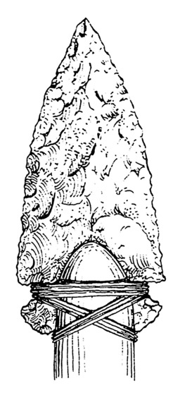 Croquis de pointe de flèche préhistorique. Source : http://data.abuledu.org/URI/53b97439-croquis-de-pointe-de-fleche-prehistorique
