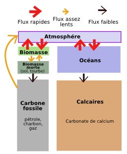 Cycle simplifié du Carbone. Source : http://data.abuledu.org/URI/50958142-cycle-simplifie-du-carbone