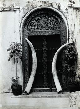 Défenses d'éléphant décoratives. Source : http://data.abuledu.org/URI/5730e809-defenses-d-elephant-decoratives