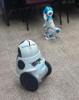 Démonstration de robots. Source : http://data.abuledu.org/URI/58d1959b-demonstration-de-robots