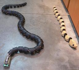 Deux serpents robots. Source : http://data.abuledu.org/URI/58e9f478-deux-serpents-robots