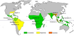 Distribution des crocodiliens dans le monde. Source : http://data.abuledu.org/URI/56ca553b-distribution-des-crocodiliens-dans-le-monde