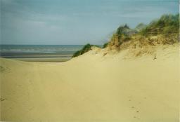 Dunes de sable et oyats à l'océan. Source : http://data.abuledu.org/URI/53c683ad-dunes-de-sable-et-oyats-a-l-ocean