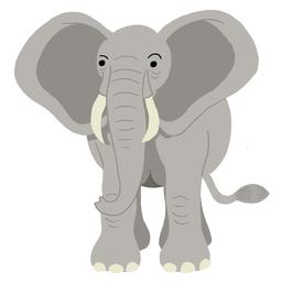 Elephant de face. Source : http://data.abuledu.org/URI/56290071-elephant-de-face