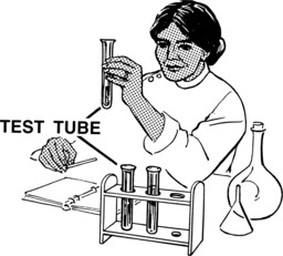 Éprouvettes en laboratoire. Source : http://data.abuledu.org/URI/5043b94e-eprouvettes-en-laboratoire
