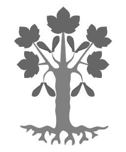 Érable sycomore en héraldique. Source : http://data.abuledu.org/URI/50bb5e04-erable-sycomore-en-heraldique