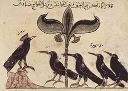 Fable du roi des corbeaux. Source : http://data.abuledu.org/URI/521b1b1a-fable-du-roi-des-corbeaux