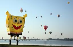 Festival de montgolfières de 2010. Source : http://data.abuledu.org/URI/52cf33f0-festival-de-montgolfieres-de-2010