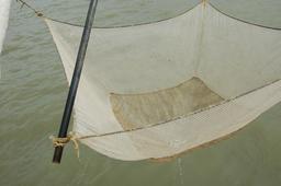 Filet de pêche. Source : http://data.abuledu.org/URI/59097a82-filet-de-peche