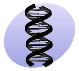 Génétique. Source : http://data.abuledu.org/URI/5049faab-genetique