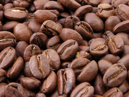 Grains de café torréfiés. Source : http://data.abuledu.org/URI/47f55c60-grains-de-cafe-torrefies
