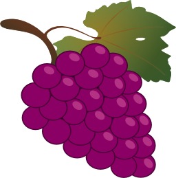 Grappe de raisin. Source : http://data.abuledu.org/URI/47f5825a-grappe-de-raisin