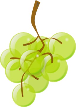 Grappe de raisin blanc. Source : http://data.abuledu.org/URI/504bc365-grappe-de-raisin-blanc