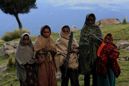 Groupe d'enfants non scolarisés en Ethiopie. Source : http://data.abuledu.org/URI/58c727d0-groupe-d-enfants-non-scolarises-en-ethiopie