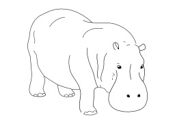 Hippopotame. Source : http://data.abuledu.org/URI/50268ffa-hippopotame