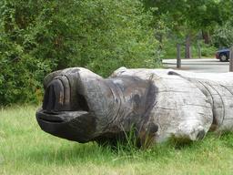 Hippopotame au parc du Bourgailh. Source : http://data.abuledu.org/URI/5826cfb8-hippopotame-au-parc-du-bourgailh