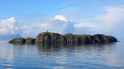 Île Elliðaey et son phare en Islande.. Source : http://data.abuledu.org/URI/5935de9a-ile-elli-aey-et-son-phare-en-islande-