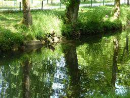 L'Eau Bourde dans le parc du Moulineau. Source : http://data.abuledu.org/URI/582646df-l-eau-bourde-dans-le-parc-du-moulineau