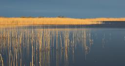 Lac en Estonie. Source : http://data.abuledu.org/URI/5630dd32-lac-en-estonie