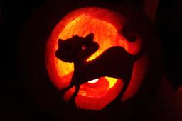Le chat d'Halloween. Source : http://data.abuledu.org/URI/587baa41-le-chat-d-halloween