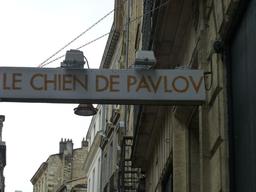 Le chien de Pavlov à Bordeaux. Source : http://data.abuledu.org/URI/582633b9-le-chien-de-pavlov-a-bordeaux