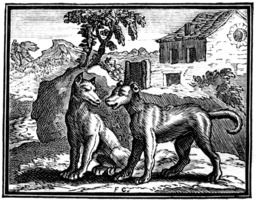 Le loup et le chien. Source : http://data.abuledu.org/URI/510c258f-le-loup-et-le-chien