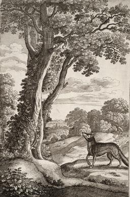 Le renard et le corbeau. Source : http://data.abuledu.org/URI/51942cac-le-renard-et-le-corbeau