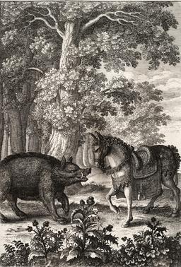 Le sanglier et l'âne. Source : http://data.abuledu.org/URI/51942bf0-le-sanglier-et-l-ane