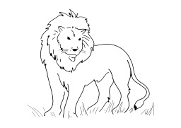 Lion. Source : http://data.abuledu.org/URI/5026bc3e-lion