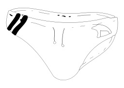 Maillot de bains garçon. Source : http://data.abuledu.org/URI/5026c116-maillot-de-bains-garcon