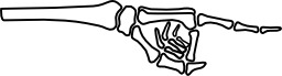 Main de squelette. Source : http://data.abuledu.org/URI/50490ac5-main-de-squelette
